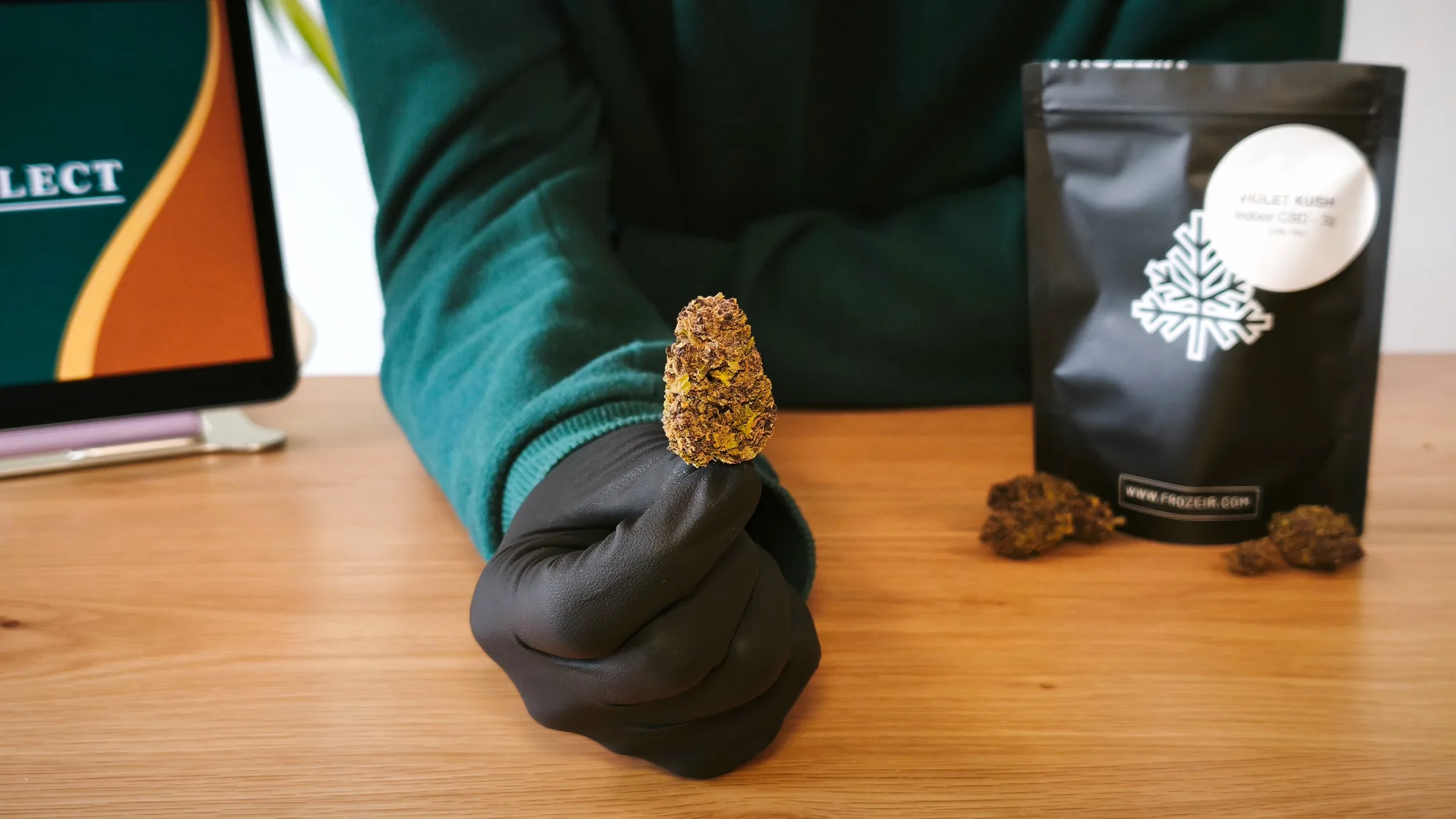 Fleur Violet Kush Indoor Frozeir tenue à la main devant sa pochette